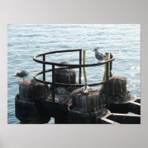 Mouettes Posters
