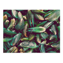 Moules vertes carte postale