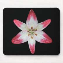 Mousepad asiatique de ~ de "lucette" de lis tapis de souris