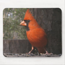 Mousepad cardinal rouge tapis de souris