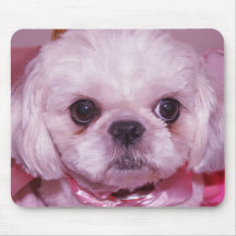 Mousepad Cassie mon chien Shih Tzu Tapis De Souris