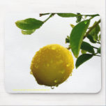 Mousepad - citron humide sous la pluie tapis de souris