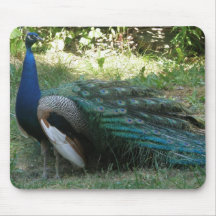 Mousepad de beauté de Peacok Tapis De Souris