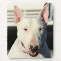 Mousepad de bull-terrier tapis de souris
