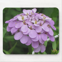 Mousepad de CANDYTUFT Tapis De Souris