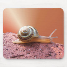 Mousepad de ~ de l'escargot W/Ray Tapis De Souris