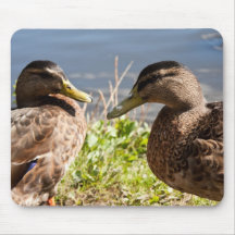 mousepad de deux canards tapis de souris