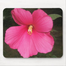 Mousepad de ketmie tapis de souris