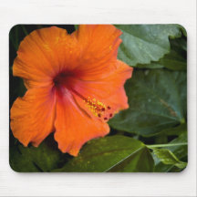 mousepad de ketmie tapis de souris