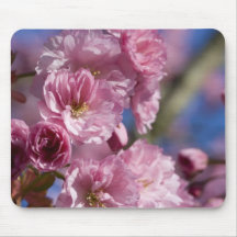 Mousepad de la cerise 2 tapis de souris