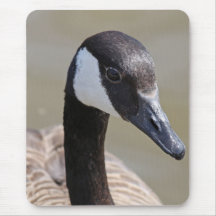 mousepad d'oie tapis de souris