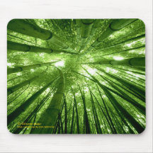 Mousepad en bambou de forêt tapis de souris