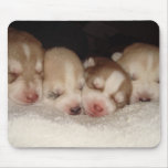 Mousepad enroué de chiots tapis de souris
