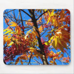 Mousepad - feuillage d'automne tapis de souris