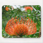 Mousepad - fleur de coussin de goupille de Protea tapis de souris