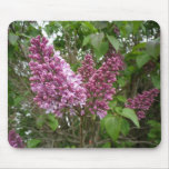 Mousepad : Fleur lilas Tapis De Souris