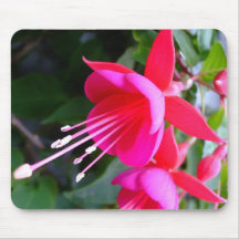 Mousepad fuchsia tapis de souris