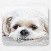 mousepad isolé de tzu de shih tapis de souris