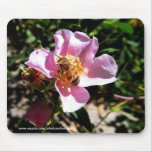 Mousepad - l'abeille sur un sauvage s'est levée tapis de souris