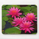 Mousepad - nénuphars au parc de San Diego Balboa tapis de souris