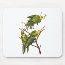 Mousepad : Perruche - par John Audubon Tapis De Souris