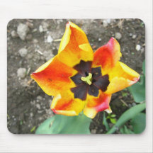 Mousepad rouge-orange de tulipe tapis de souris