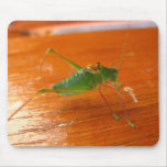 Mousepad vert d'insecte tapis de souris