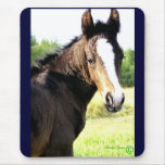Mousepads aux yeux bleus de colt tapis de souris