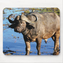 Mousepads de safari de Buffalo de cap Tapis De Souris