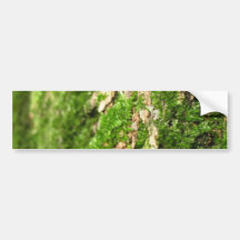 Mousse sur l'écorce d'arbre autocollant pour voiture