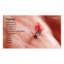 Moustique sanglant carte de visite