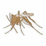 Moustique Sweatshirt À Capuche Brodé