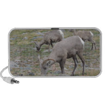 Moutons de Big Horn de montagne rocheuse Haut-parleurs Portables