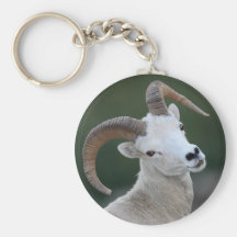moutons de dall porte-clé