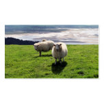 MOUTONS DE MONTAGNE DE GALLOIS CARTES DE VISITE PROFESSIONNELLES