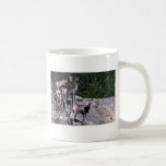 Moutons en pierre (brebis et agneaux) tasse