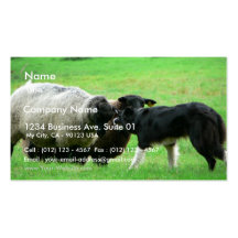 Moutons et chien de moutons sur le champ carte de visite
