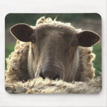 Moutons Mousepad Tapis De Souris