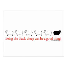 Moutons noirs carte postale