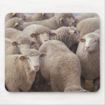Moutons Tapis De Souris