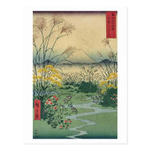 Mt Fuji 31 Cartes Postales