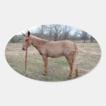 Mule magnifique ! Autocollant ovale