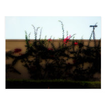 Mur cartes postales