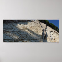 Mur vertical II de schiste de Woodford - norme Posters