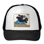 Musashi Casquette