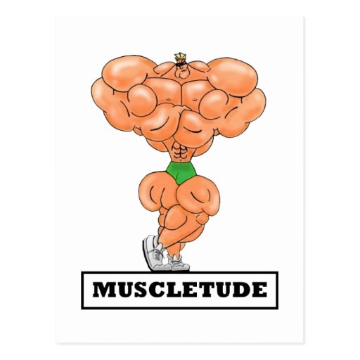 MUSCLETUDE, carte postale
