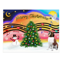 Musique 2 de Noël - St Bernard 1 Cartes Postales