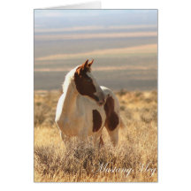 Mustang aux yeux bleus sauvage de Card~ petit Cartes De Vœux