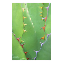 N.A., Etats-Unis, AZ, Phoenix, abandonnent botaniq Impressions Photo