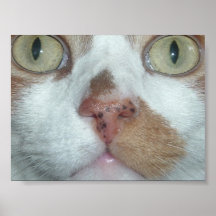 N votre visage posters